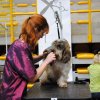 During grooming...