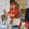 Hors concours avec 
