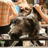 During grooming...