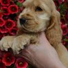 nellie3