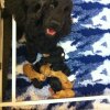 lorie_jingle003