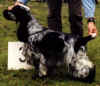 phil2.jpg (59224 octets)