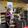 During grooming...