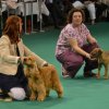 With Blondie in the main ring